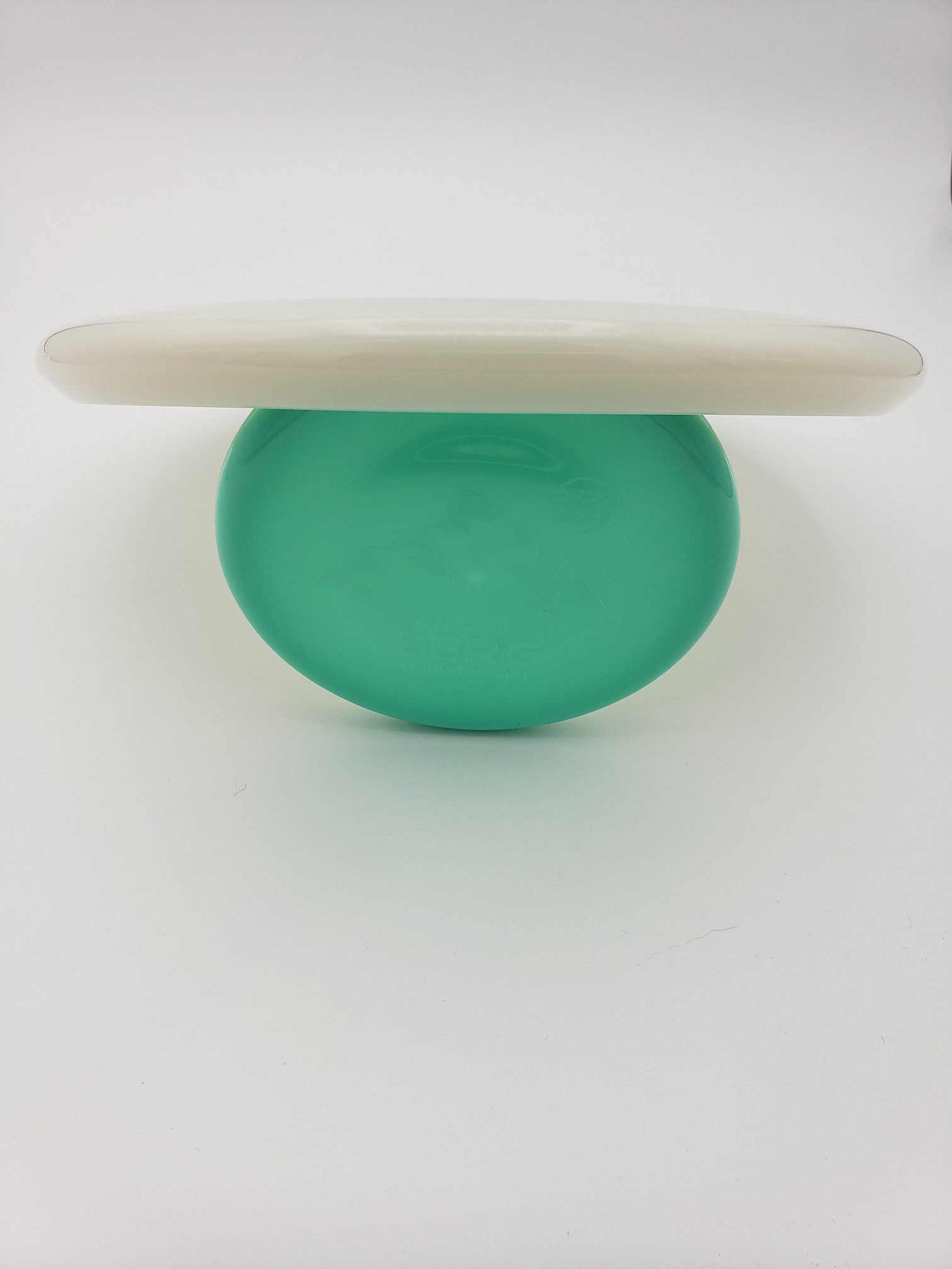 Dynamic Discs Hybrid Moonshine Warden A.J. Risley 2021 Team Series V2 - Image 2