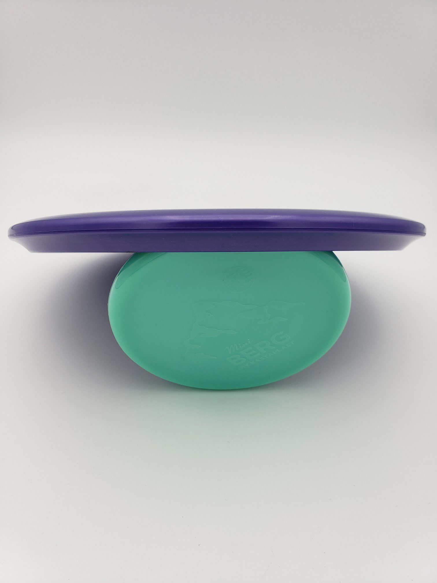 Discraft Big Z Buzzz - Image 2